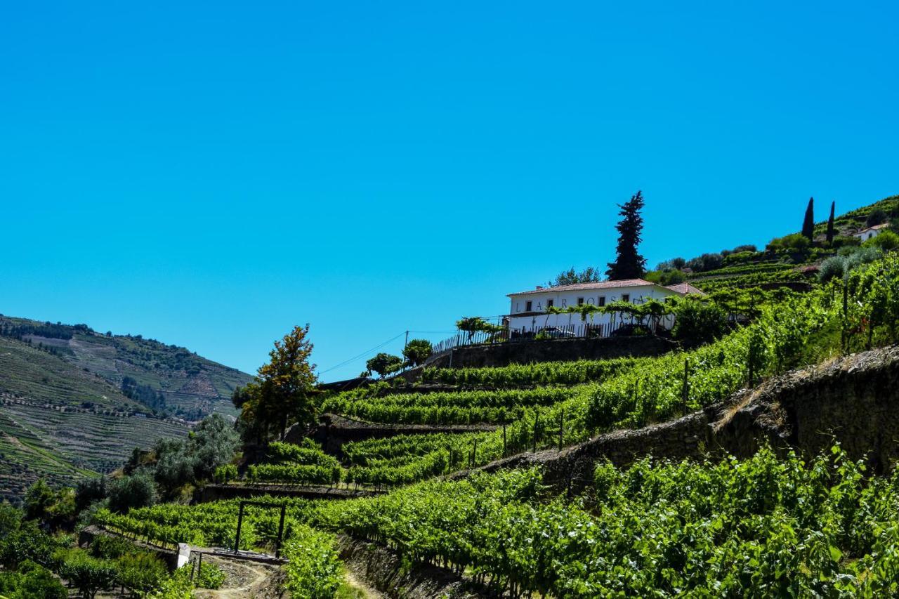 Quinta De La Rosa Villa Pinhão Dış mekan fotoğraf