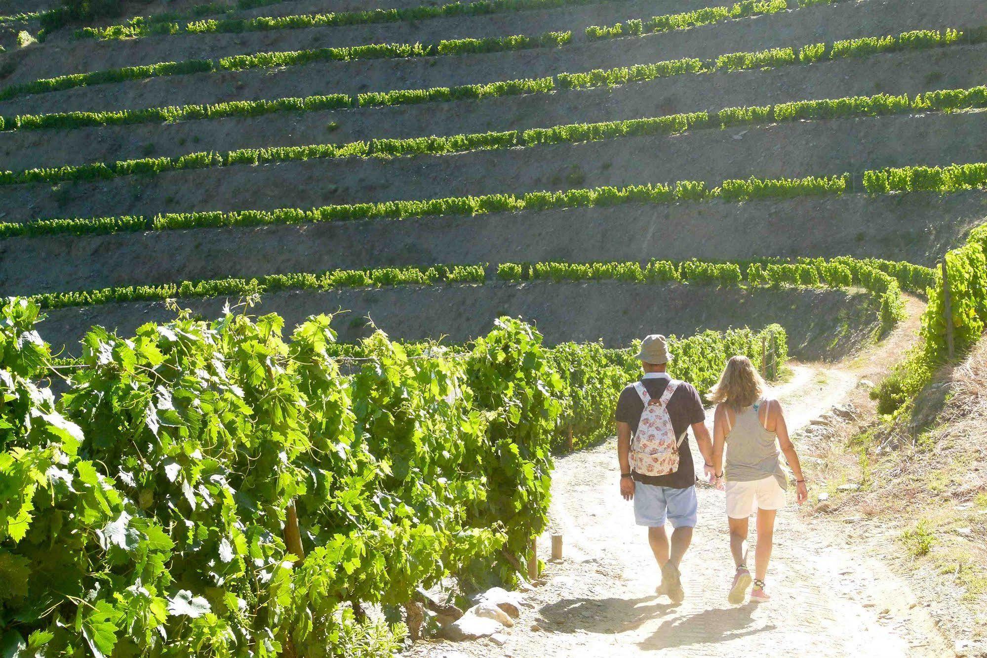 Quinta De La Rosa Villa Pinhão Dış mekan fotoğraf